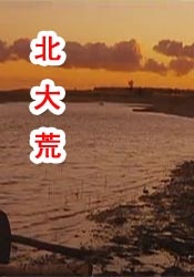 总裁秘书情人湿透了h